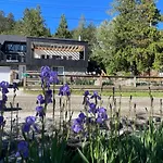 The Spot Bed And Breakfast