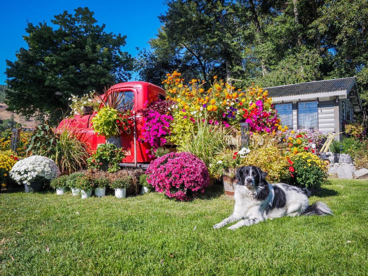Rayleigh Riverfront Retreat- Peaceful Garden Oasis-25 Minutes To Hill Apartment Kamloops