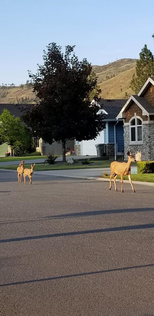 Overlander Bed & Breakfast Kamloops