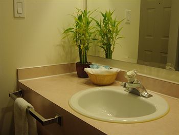 Maverick Motor And Waterslide Hotel 3*
