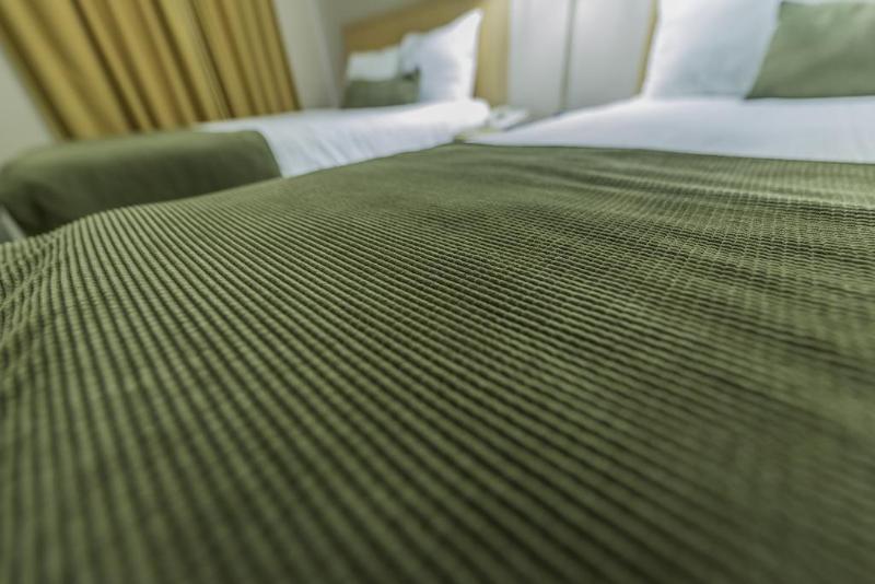 Howard Johnson By Wyndham Downtown Motel 3*